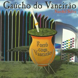 Album cover of Forró Com Vaneirão