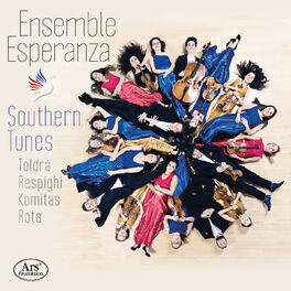Album cover of Southern Tunes