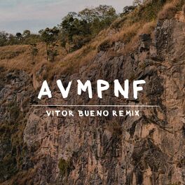 Album cover of Ainda Vou Morrer por Não Falar (Vitor Bueno Remix)