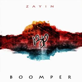 Album cover of Zayin