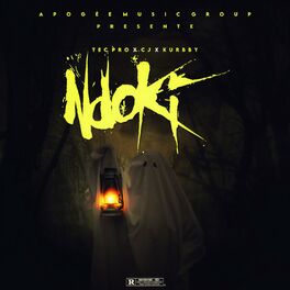 Album cover of NDOKI