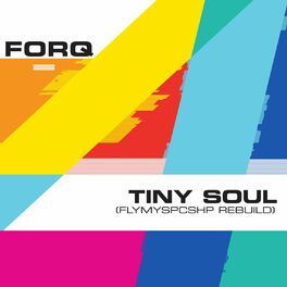 Album cover of Tiny Soul (flymyspcshp rebuild)