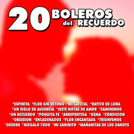 Album cover of 20 Boleros del Recuerdo