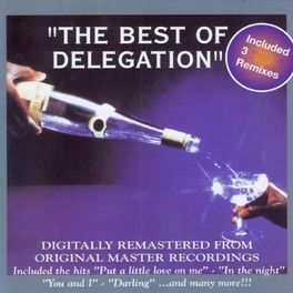 Album cover of The Best of Delegation