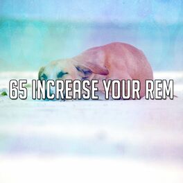 Album cover of 65 Increase Your Rem