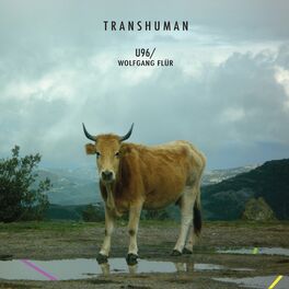 Album cover of Transhuman
