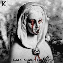 Album cover of that place where pain lives...