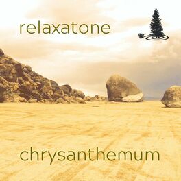 Album cover of Chrysanthemum