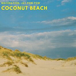 Album cover of coconut beach