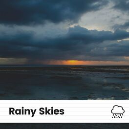 Album cover of Rainy Skies