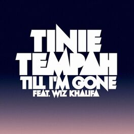 Album cover of Till I'm Gone (feat. Wiz Khalifa)