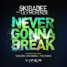 Album cover of Never Gonna Break