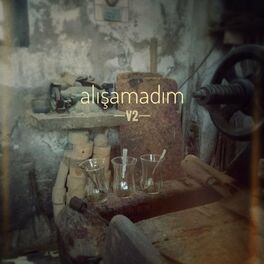 Album cover of Alışamadım V2