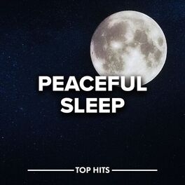 Album cover of Peaceful Sleep