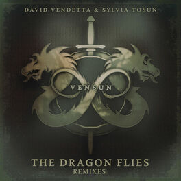 Album cover of The Dragon Flies (Remixes Pt.3)
