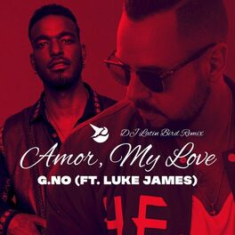 Album cover of Amor, My Love (DJ Latin Bird Remix)
