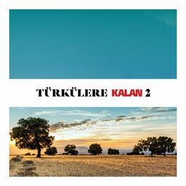 Album cover of Türkülere Kalan, Vol. 2