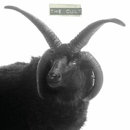 Album cover of The Cult