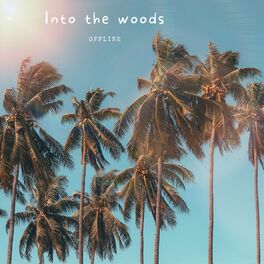 Album cover of Into the Woods
