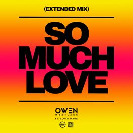 Album cover of So Much Love (feat. Lloyd Wade) (Extended Mix)