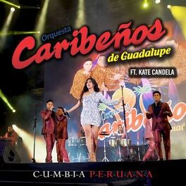 Album cover of Tu Falta de Querer. Cumbia Peruana