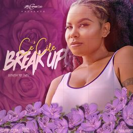 Album cover of Breakup