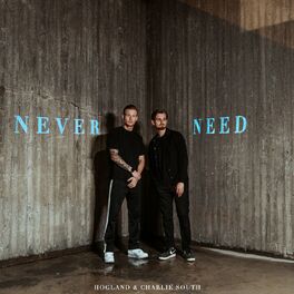 Album cover of Never Need