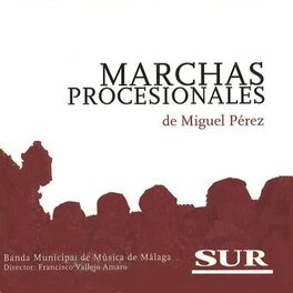 Album cover of Pasión del Sur