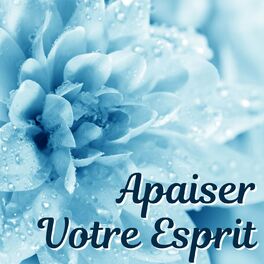 Album cover of Apaiser votre esprit: Sonorité pour la calme, musique qui soulage l'esprit
