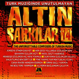 Album cover of Altın Şarkılar 14