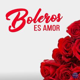 Album cover of El Amor Es Bolero