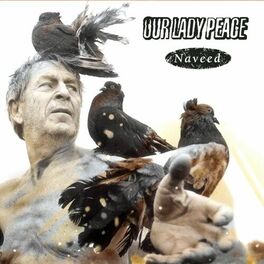 Album cover of Naveed