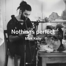 Album cover of Nothings Perfect