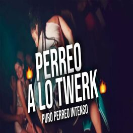 Album cover of Perreo Twerk Mix