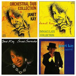 Album cover of Orchestral DUB Collection Janet KAY