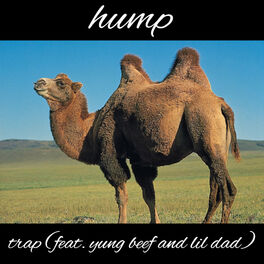 Album cover of Hump
