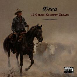 Album cover of 12 Golden Country Greats