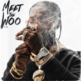 Album picture of Meet The Woo 2 (Deluxe)