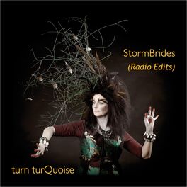 Album cover of Stormbrides (Radio Edits)
