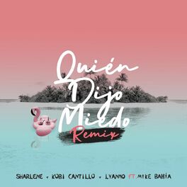 Album cover of Quién Dijo Miedo (Remix)