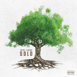 Album cover of Solo
