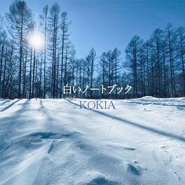 PianoPrinceOfAnime - Hikaru Nara (From Shigatsu wa Kimi no Uso) (Opening  Song 1): listen with lyrics