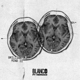 Album cover of Brilliant Mind II