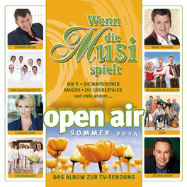 Album cover of Wenn die Musi spielt - Sommer Open Air 2014