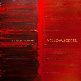 Album cover of Parallel Motion