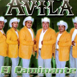 Album cover of El Caminante