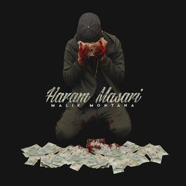 Album cover of Haram Masari