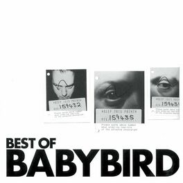 Album cover of Best of Babybird