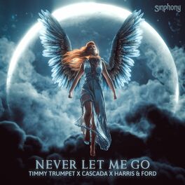 Album picture of Never Let Me Go