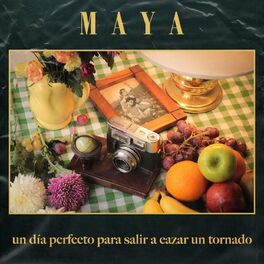 Album cover of Un Día Perfecto para Salir a Cazar un Tornado